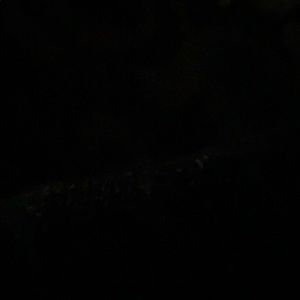 Meet your Posher, Mohammed